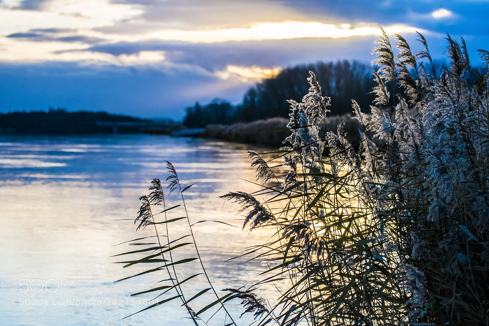 Nikon D500 sample photo. Winter mood photography