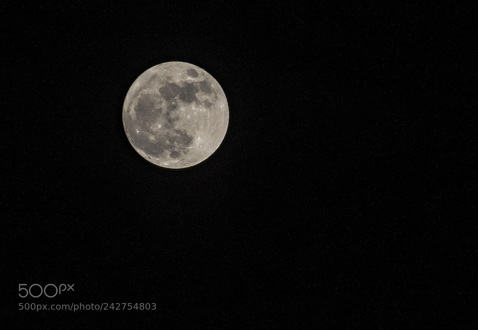 Nikon D500 sample photo. Super moon photography