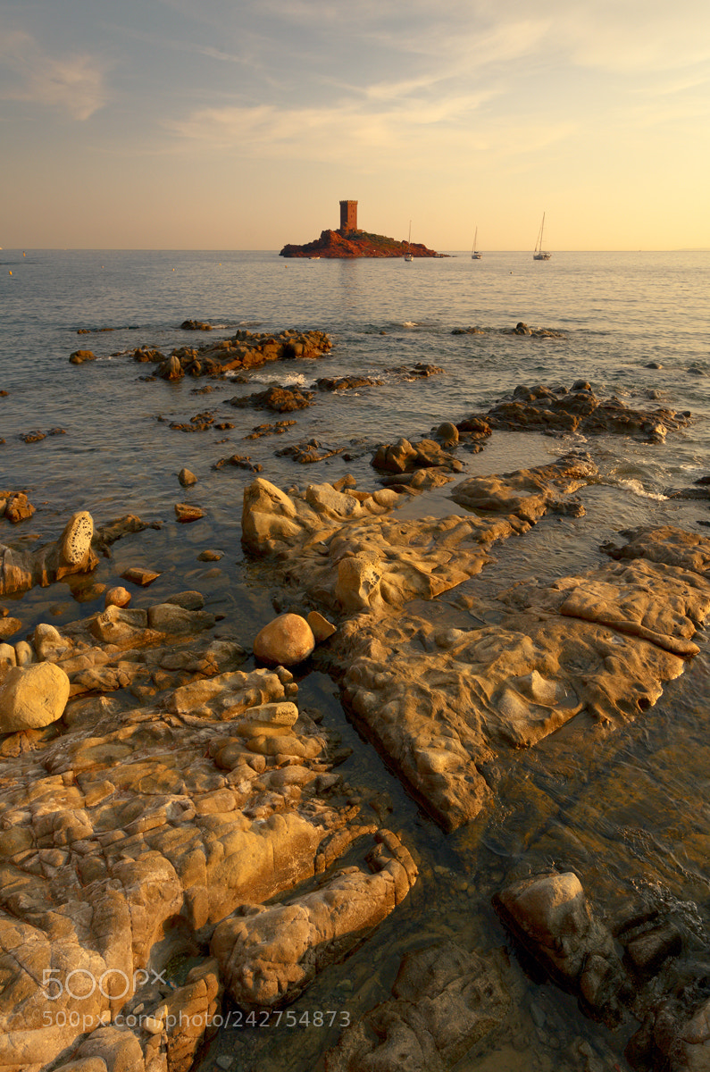 Nikon D5100 sample photo. L'ile d'or du dramont photography