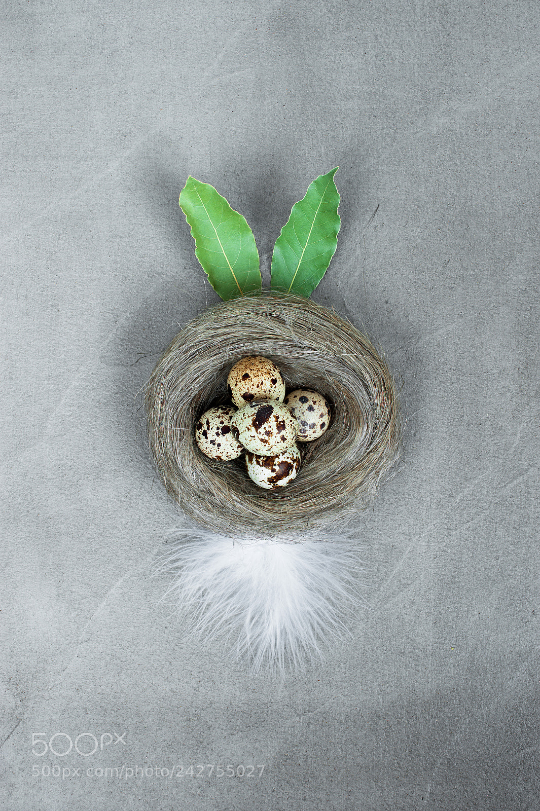 Nikon D700 sample photo. Nest with eggs and photography