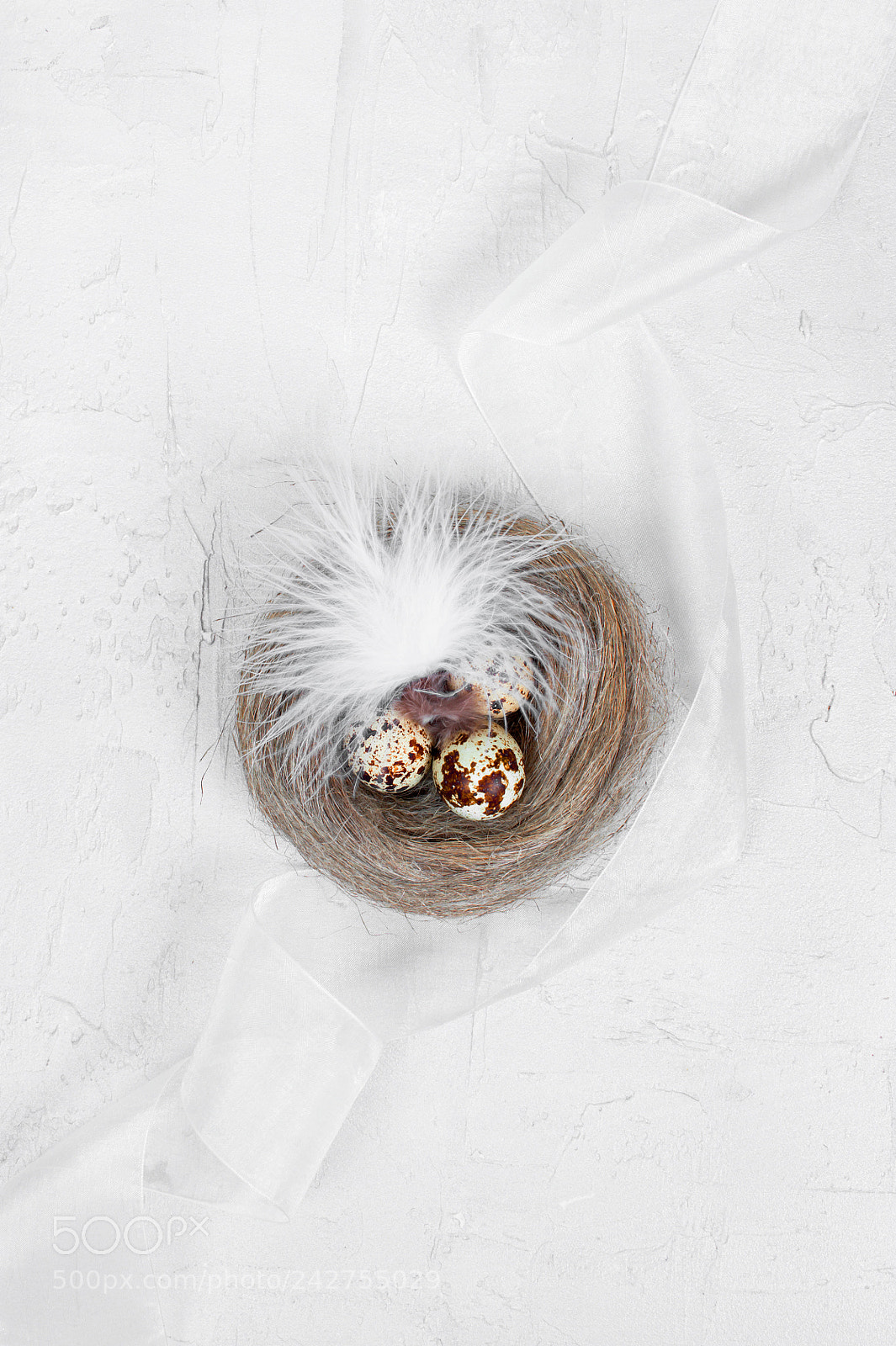 Nikon D700 sample photo. Small nest with eggs photography