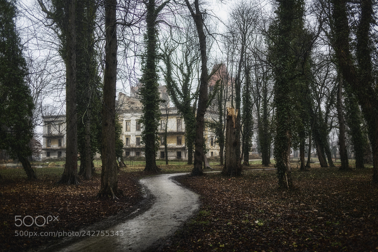 Nikon D810 sample photo. Path to decay photography