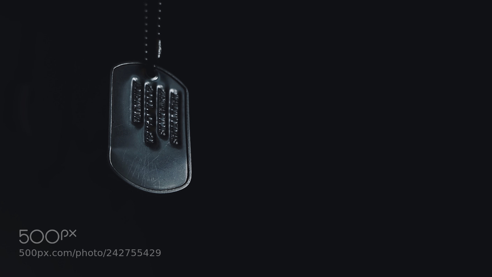 Fujifilm X-A1 sample photo. Dog tags photography