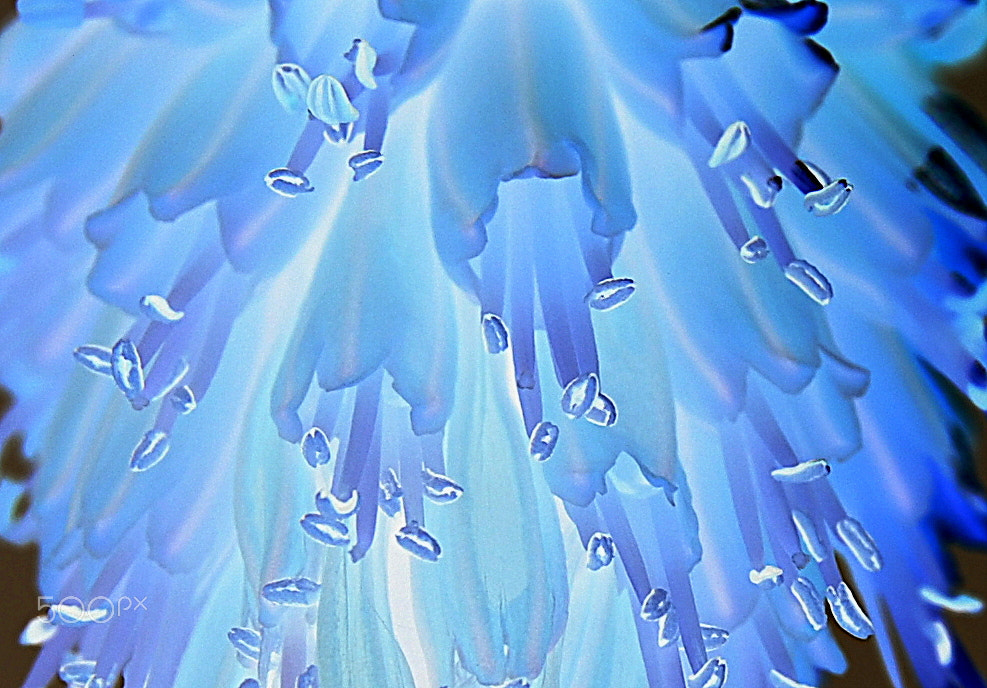 Nikon D40X sample photo. Light photography