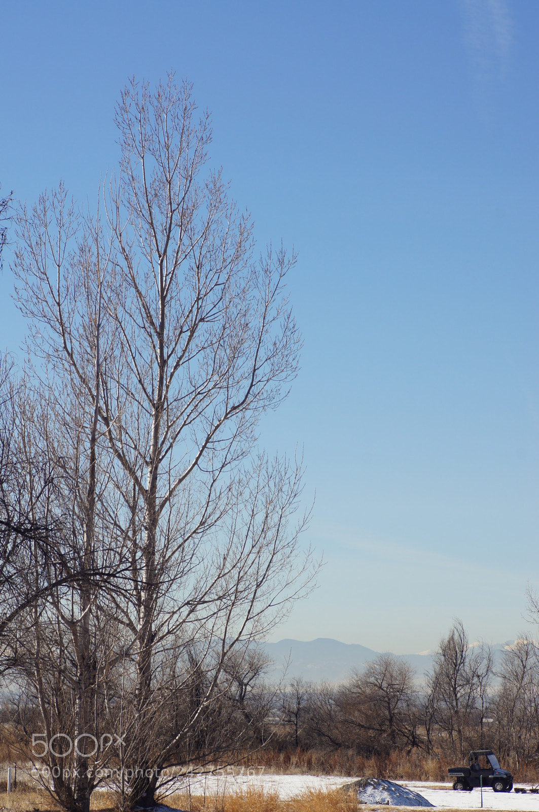 Sony SLT-A55 (SLT-A55V) sample photo. Bluebird winter day photography