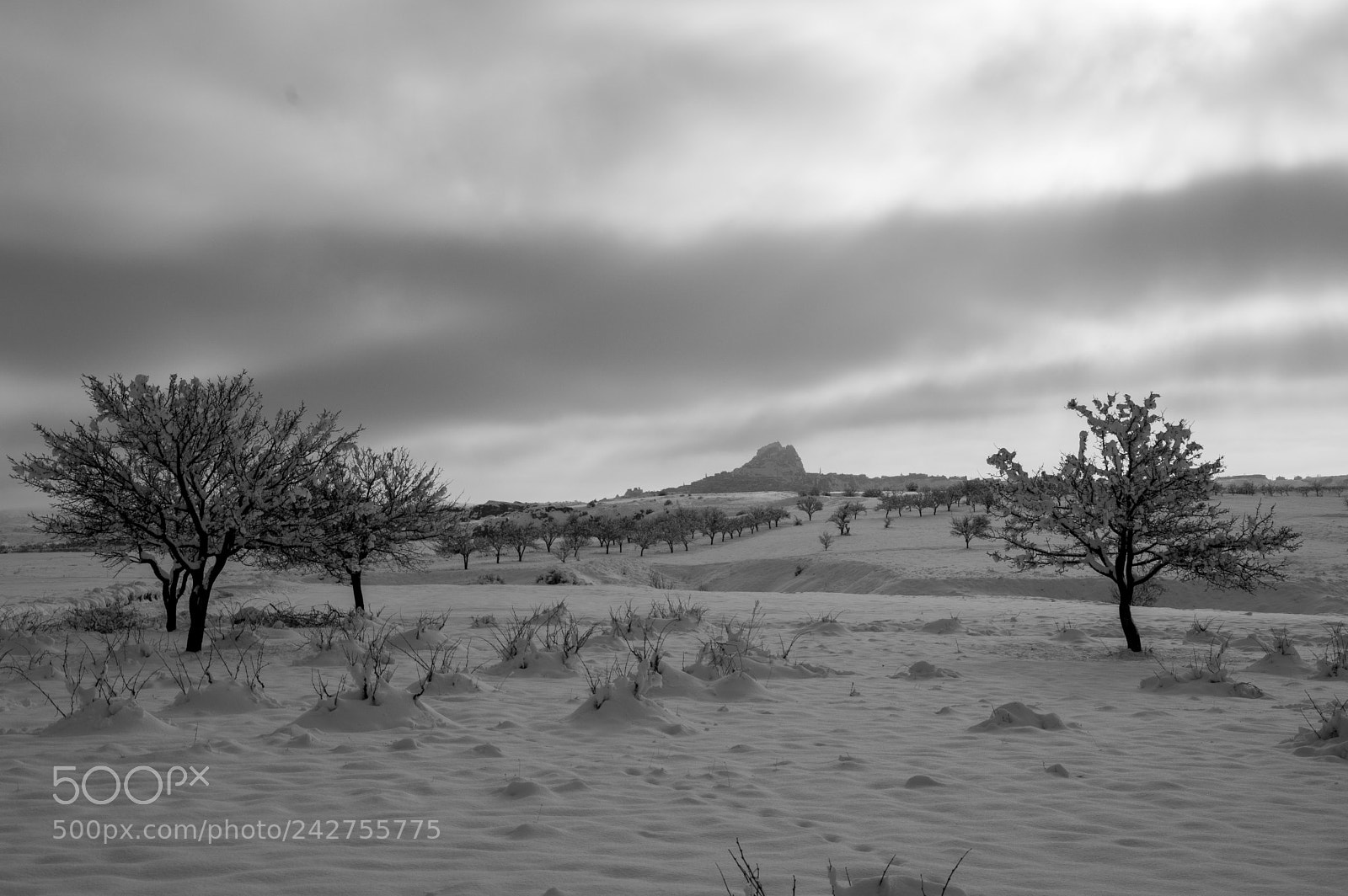 Pentax K-3 sample photo. Winter mood photography