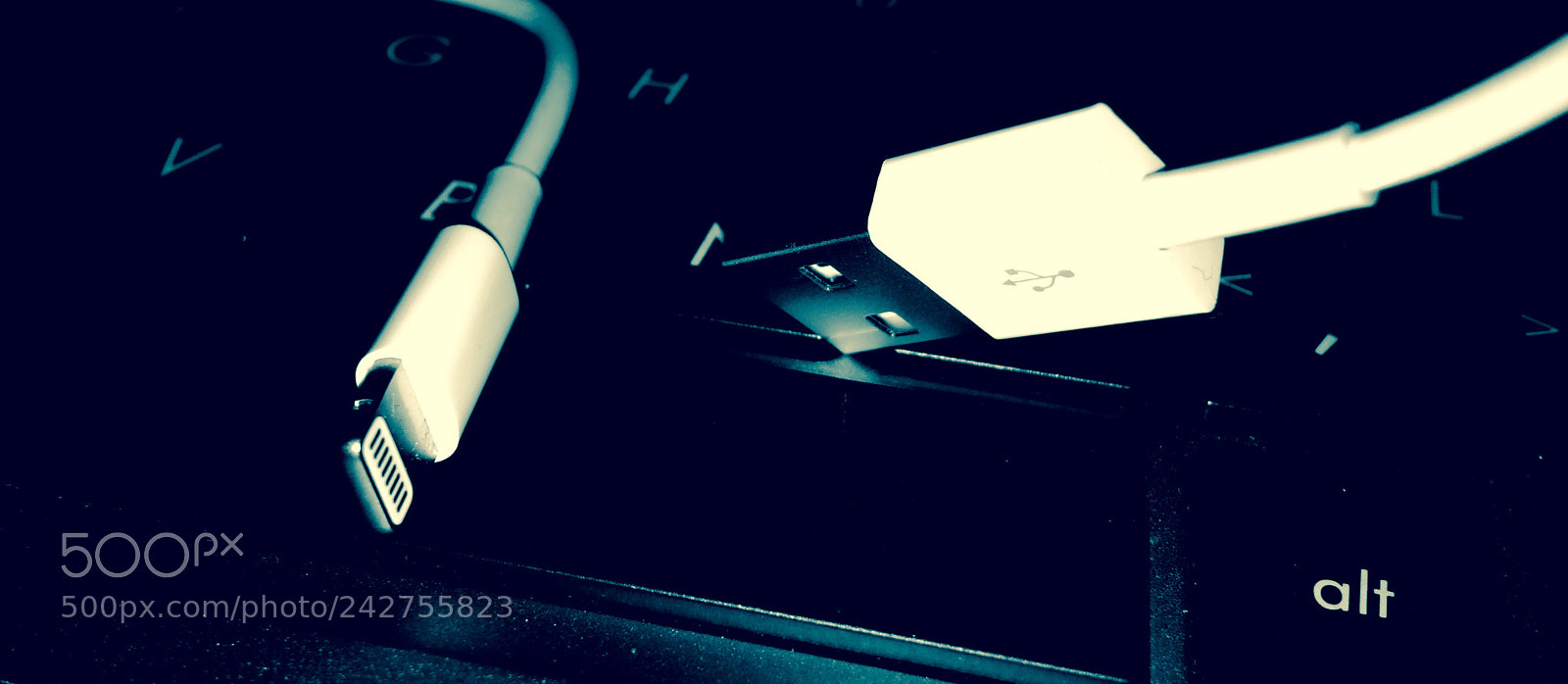 Apple iPhone 5s sample photo. Lifeline photography