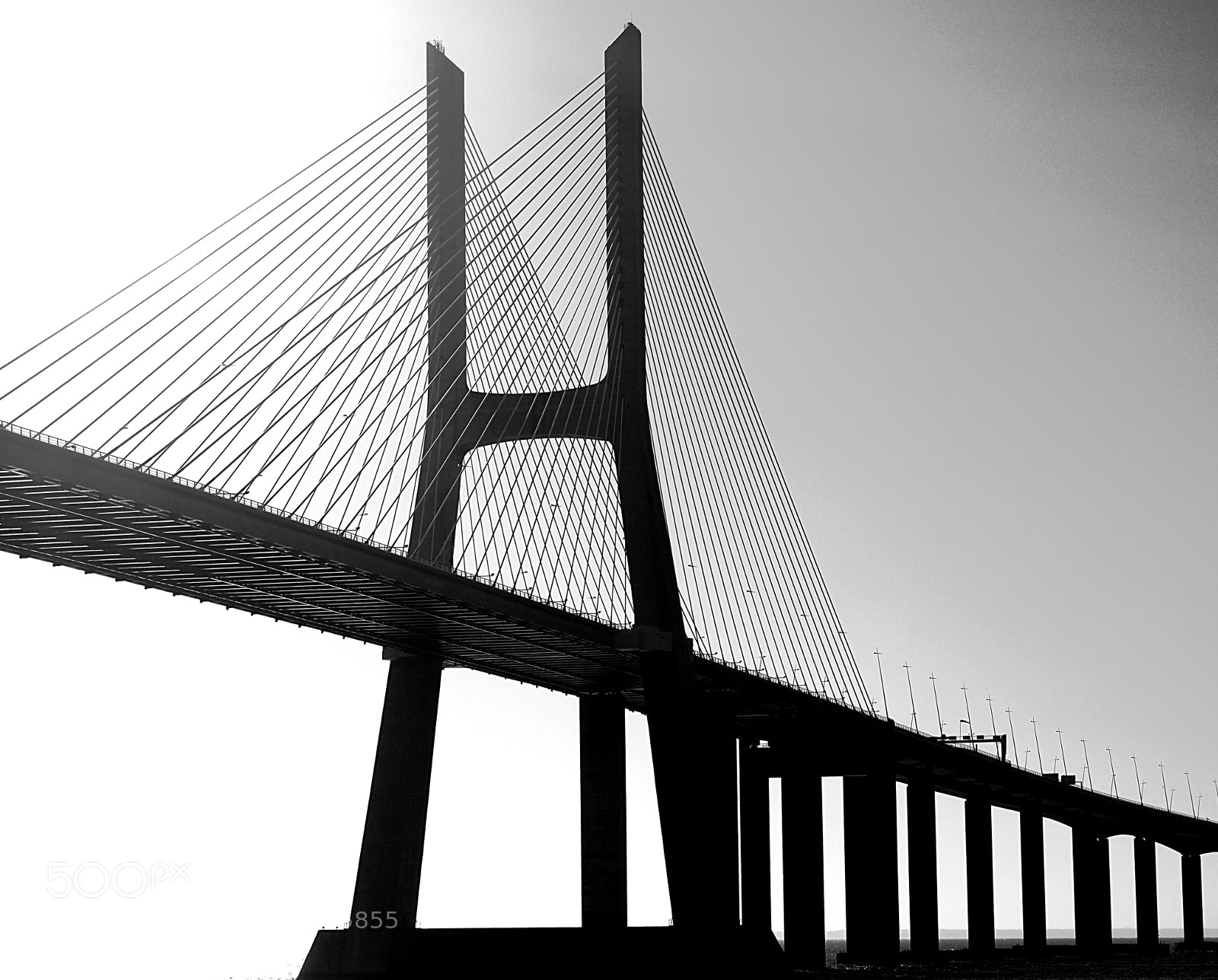 Olympus OM-D E-M10 II sample photo. Vasco da gama bridge photography
