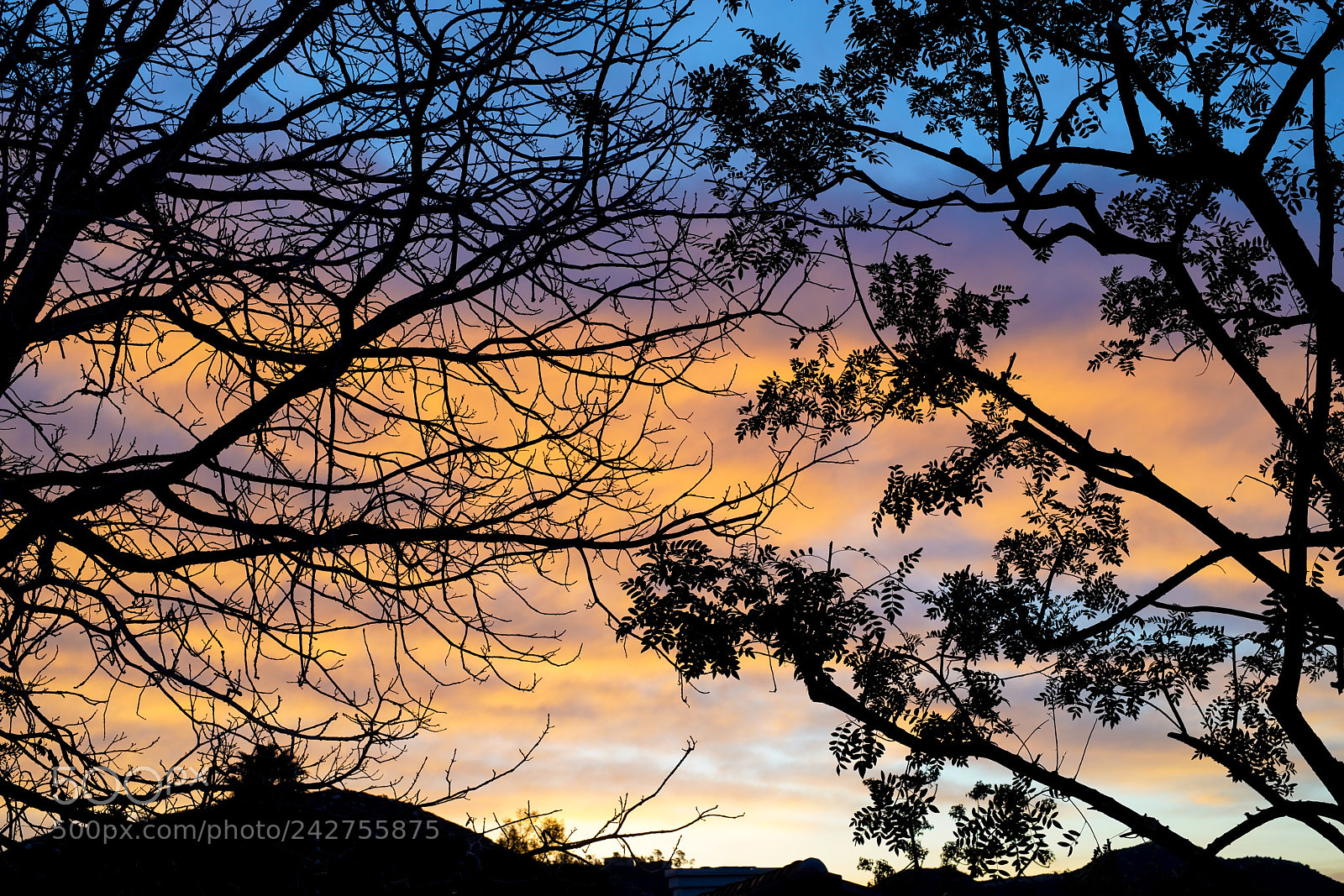 Sony a7R III sample photo. Sunrise in san diego photography
