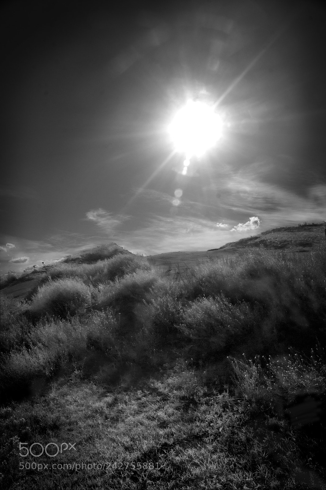 Nikon D7100 sample photo. Duna b y w photography