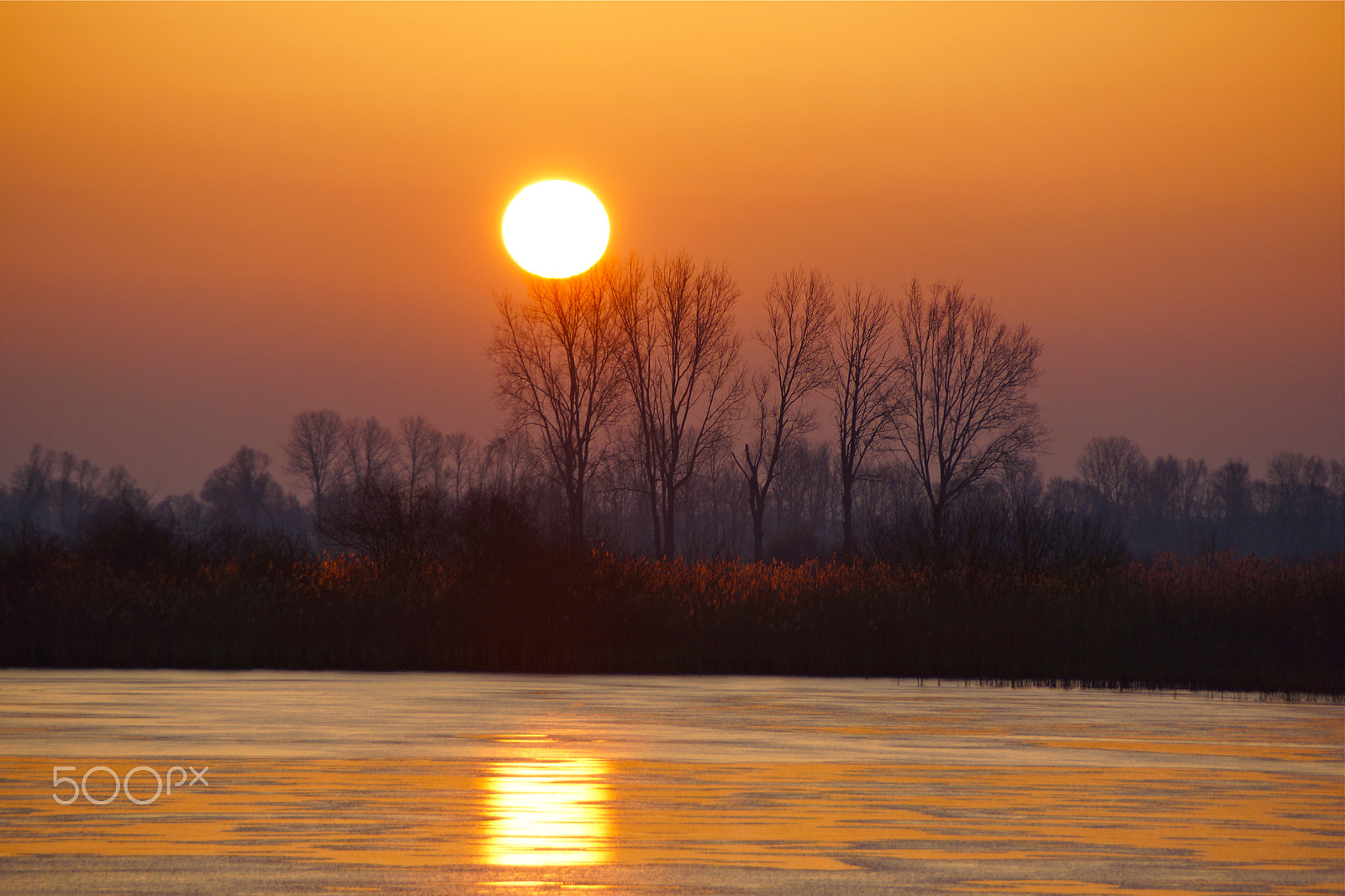 Sony DT 18-200mm F3.5-6.3 sample photo. Linum, fishpond sunrise iii photography
