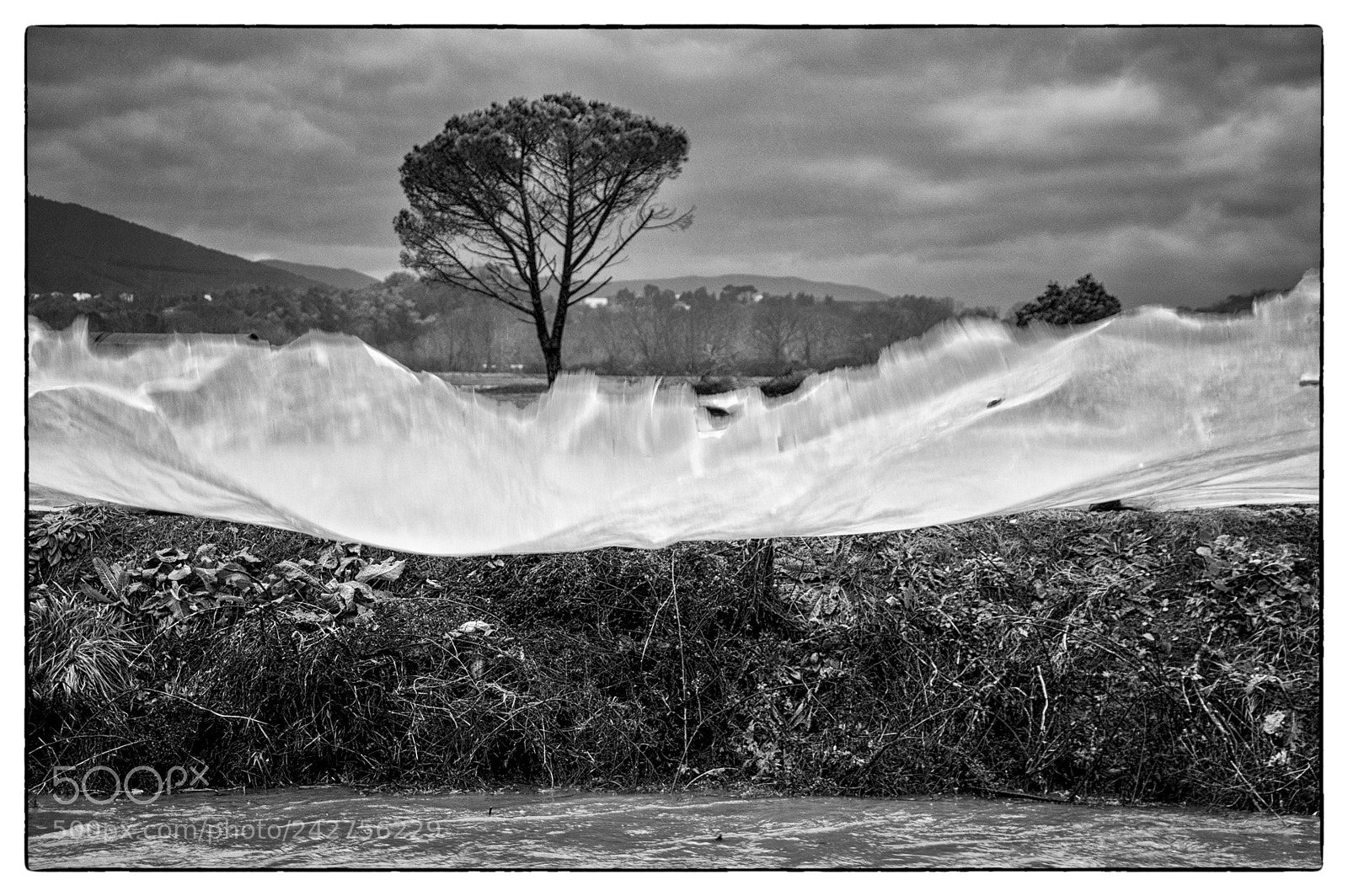 Pentax K-3 II sample photo. Wave of wind photography