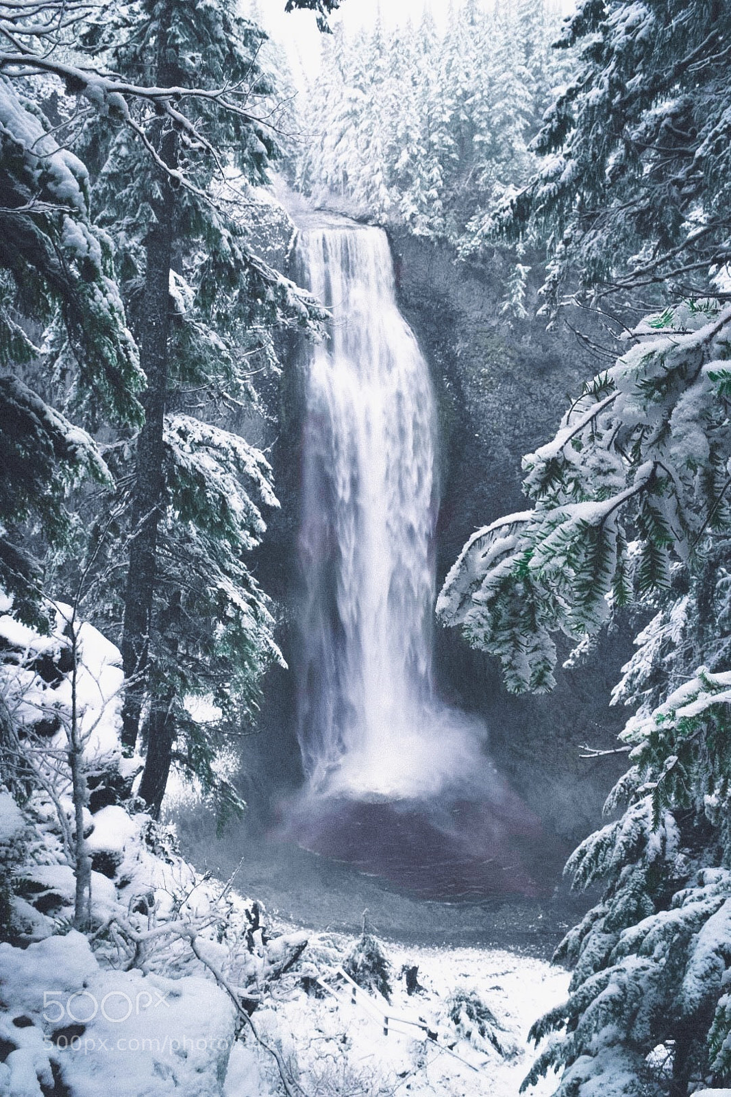 Nikon D5300 sample photo. Winter wonderland photography