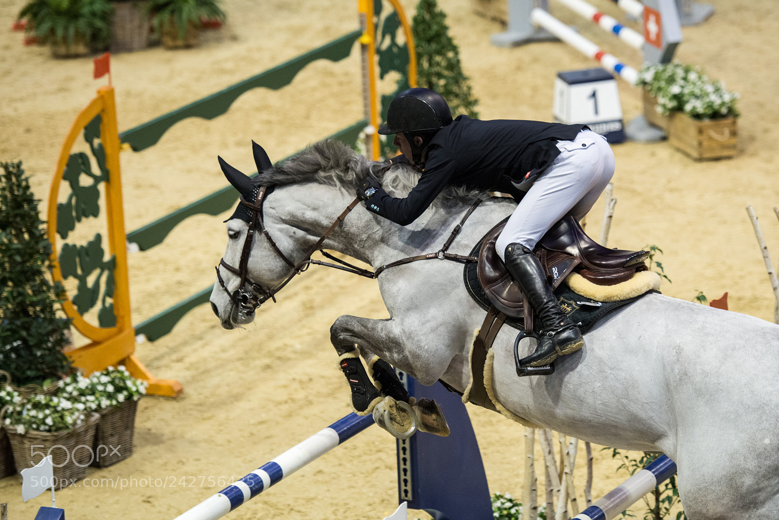 Nikon D800 sample photo. Championat of stadt basel photography