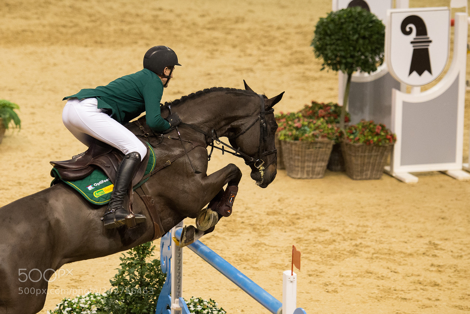 Nikon D800 sample photo. Championat of stadt basel photography
