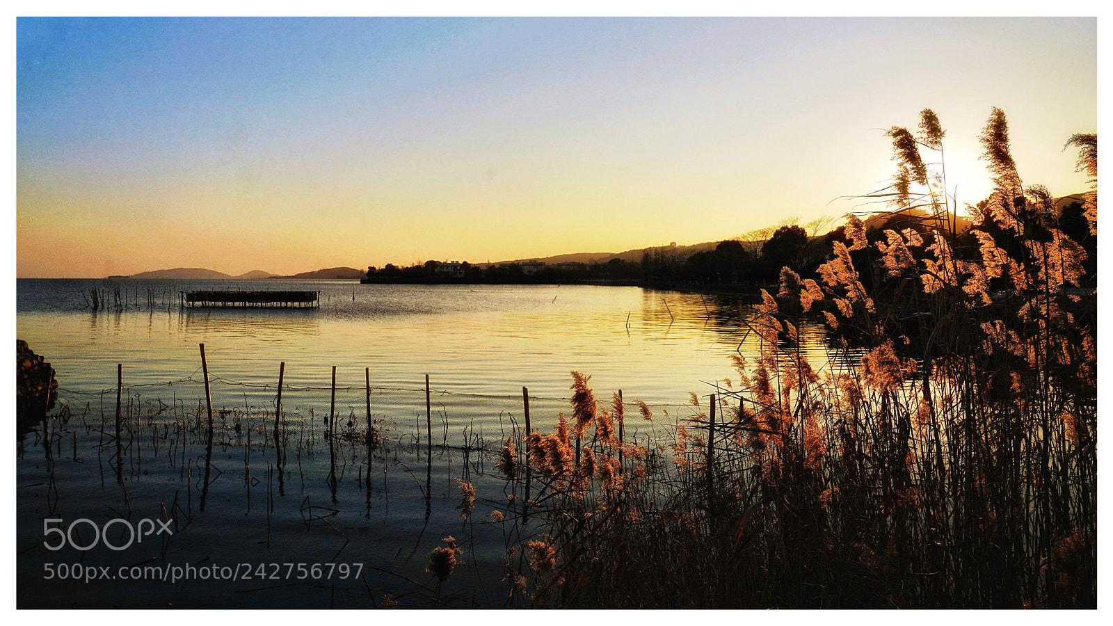 Sony a7R III sample photo. Untitled photography