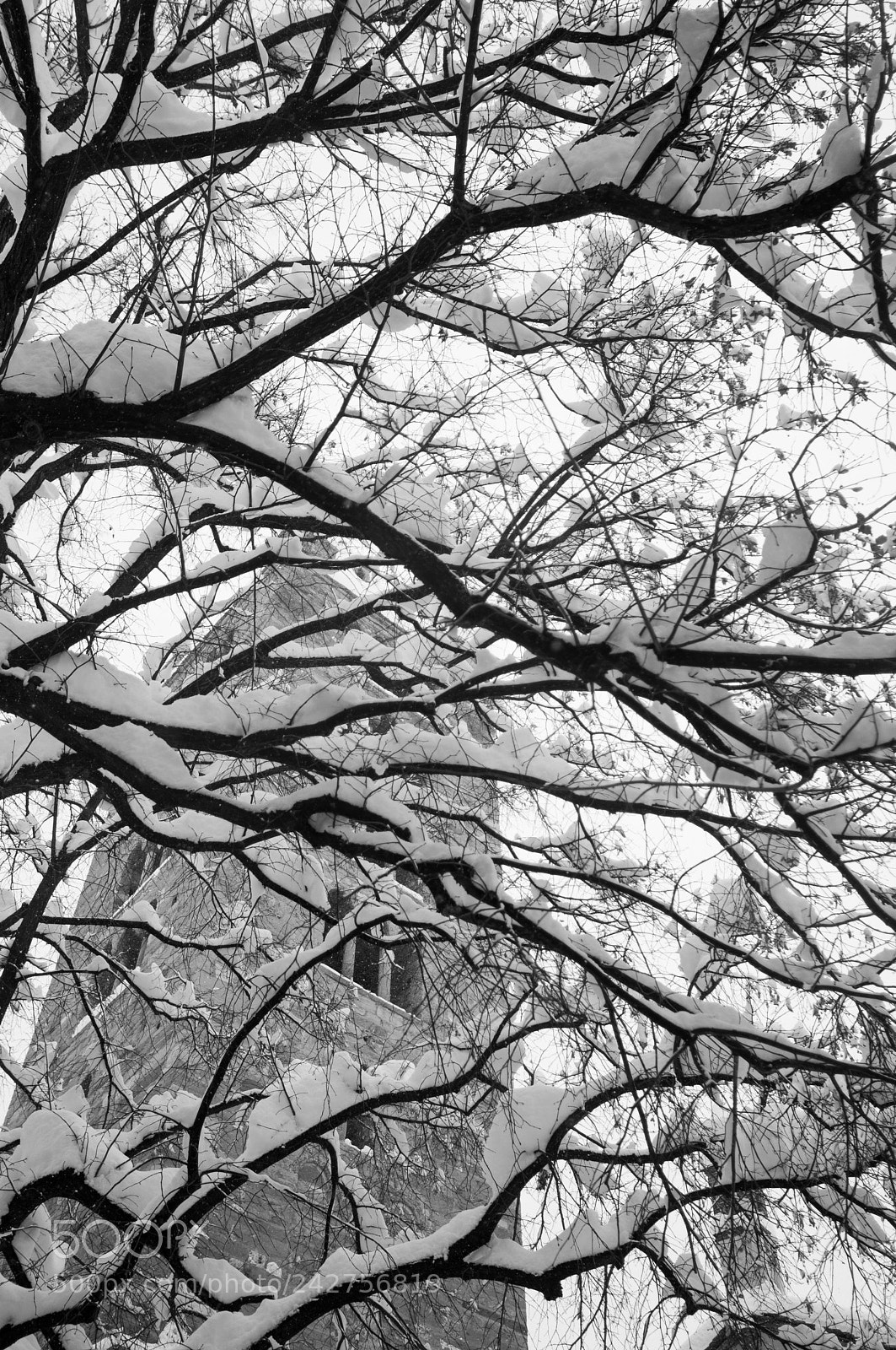 Nikon D300S sample photo. Snow in aosta photography