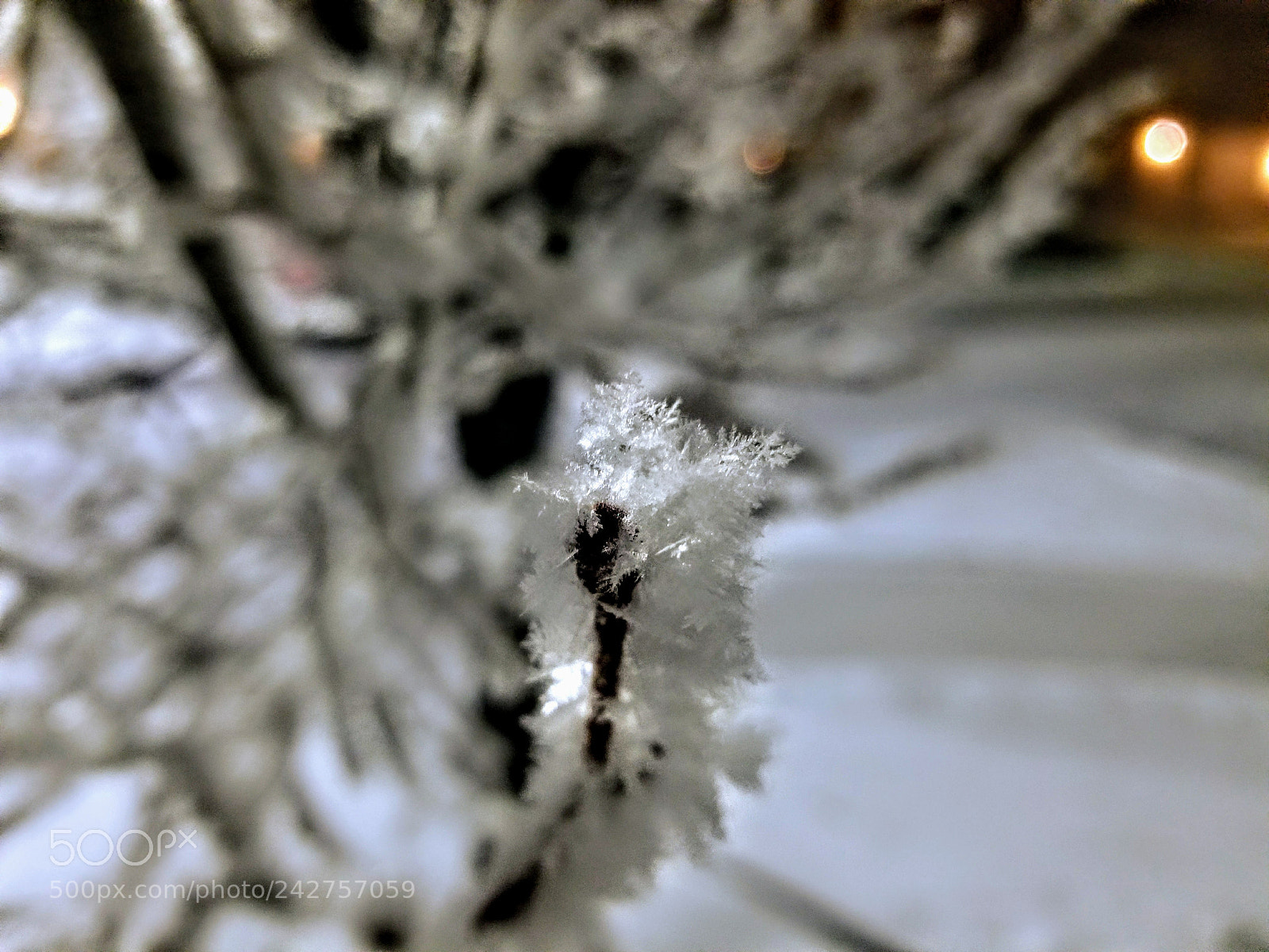 Samsung Galaxy S8+ sample photo. Frosted tree photography