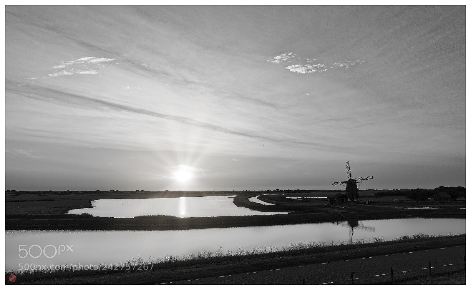 Olympus PEN-F sample photo. Texel photography