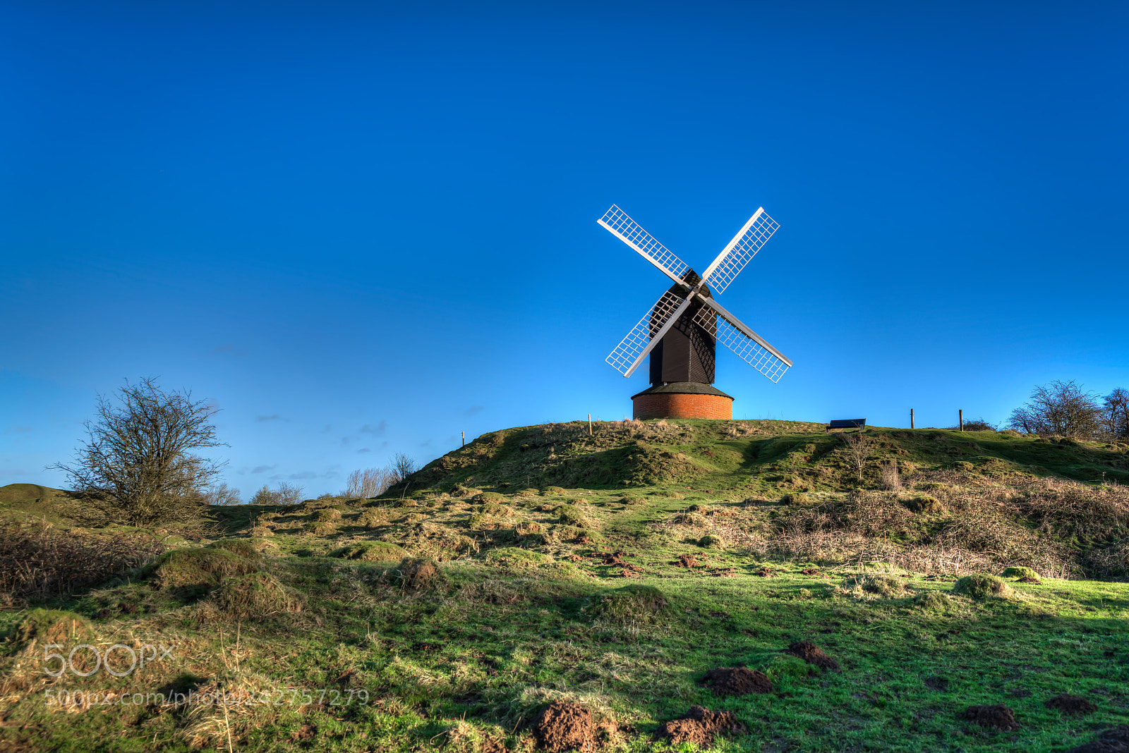 Nikon D850 sample photo. January sun at brill photography