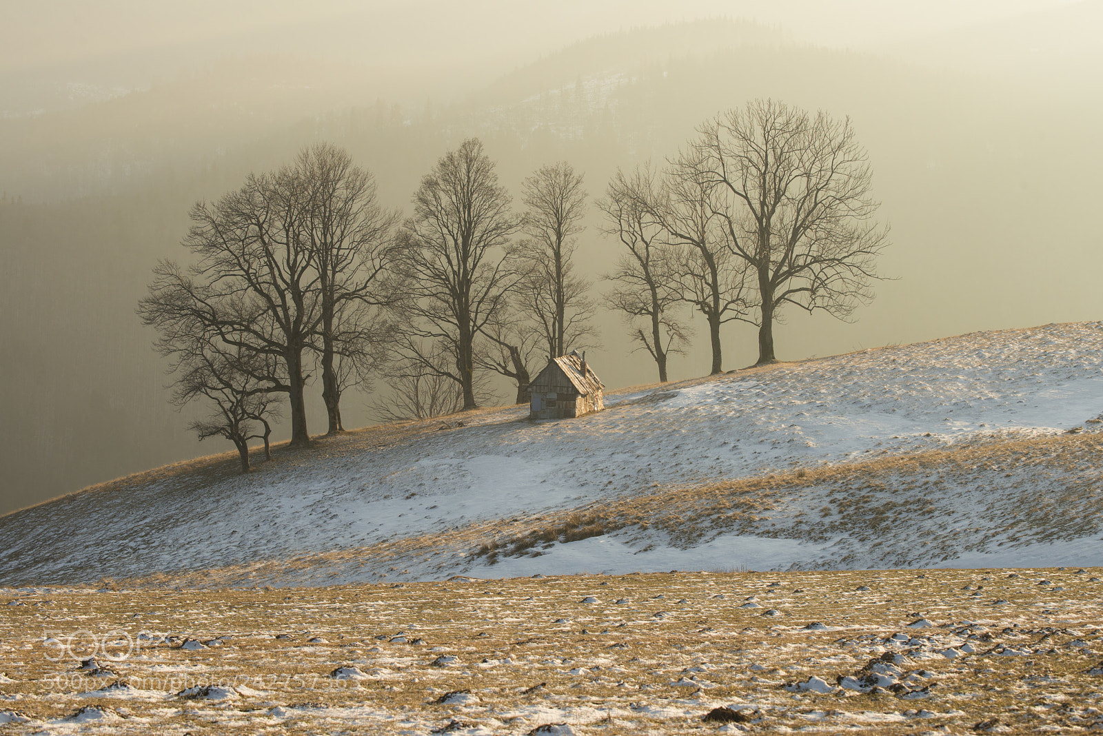 Nikon D800E sample photo. Winter is coming photography