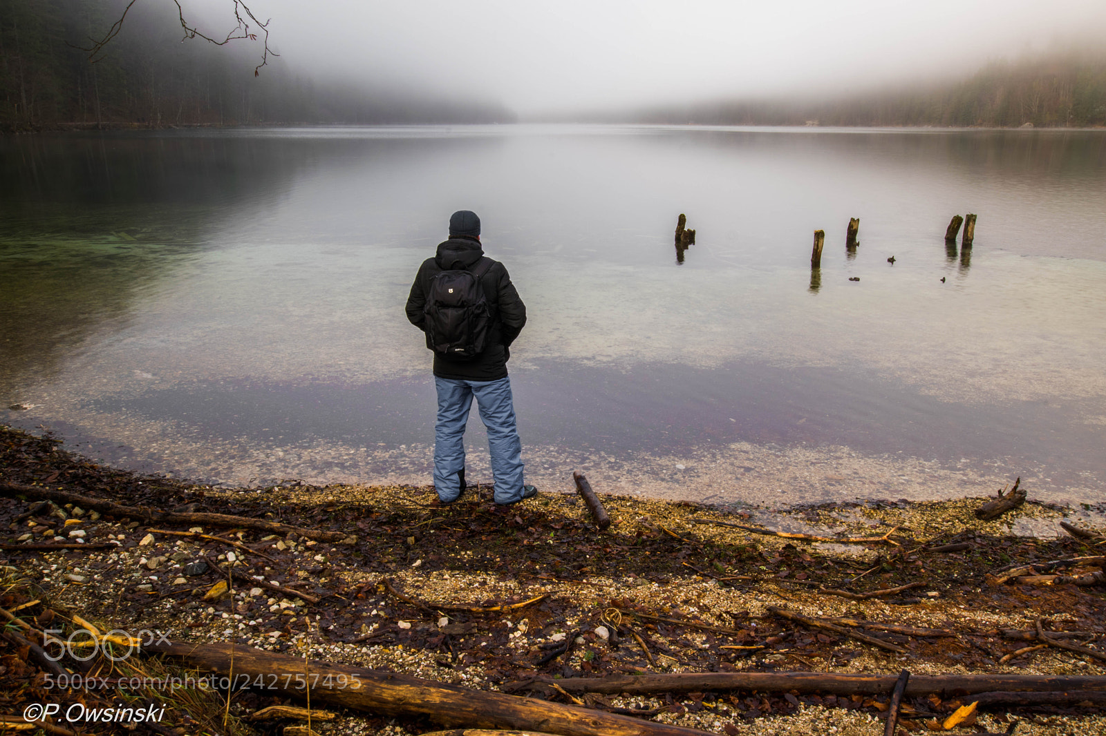 Nikon D5300 sample photo. Lonely at the lake photography