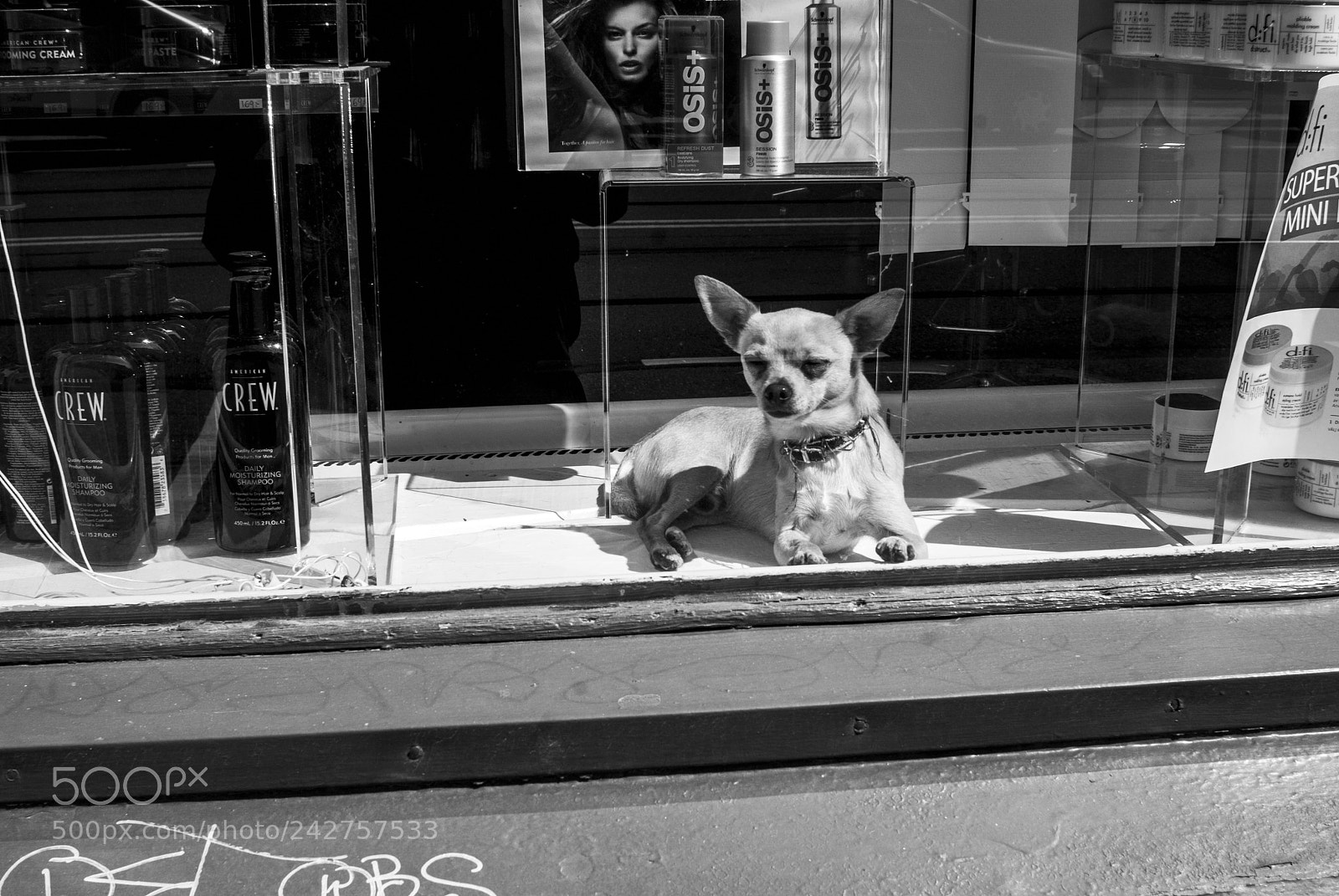 Nikon D80 sample photo. The sunbather photography