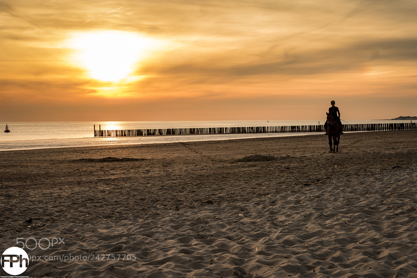 Canon EOS 7D Mark II sample photo. Horseback riding at the photography