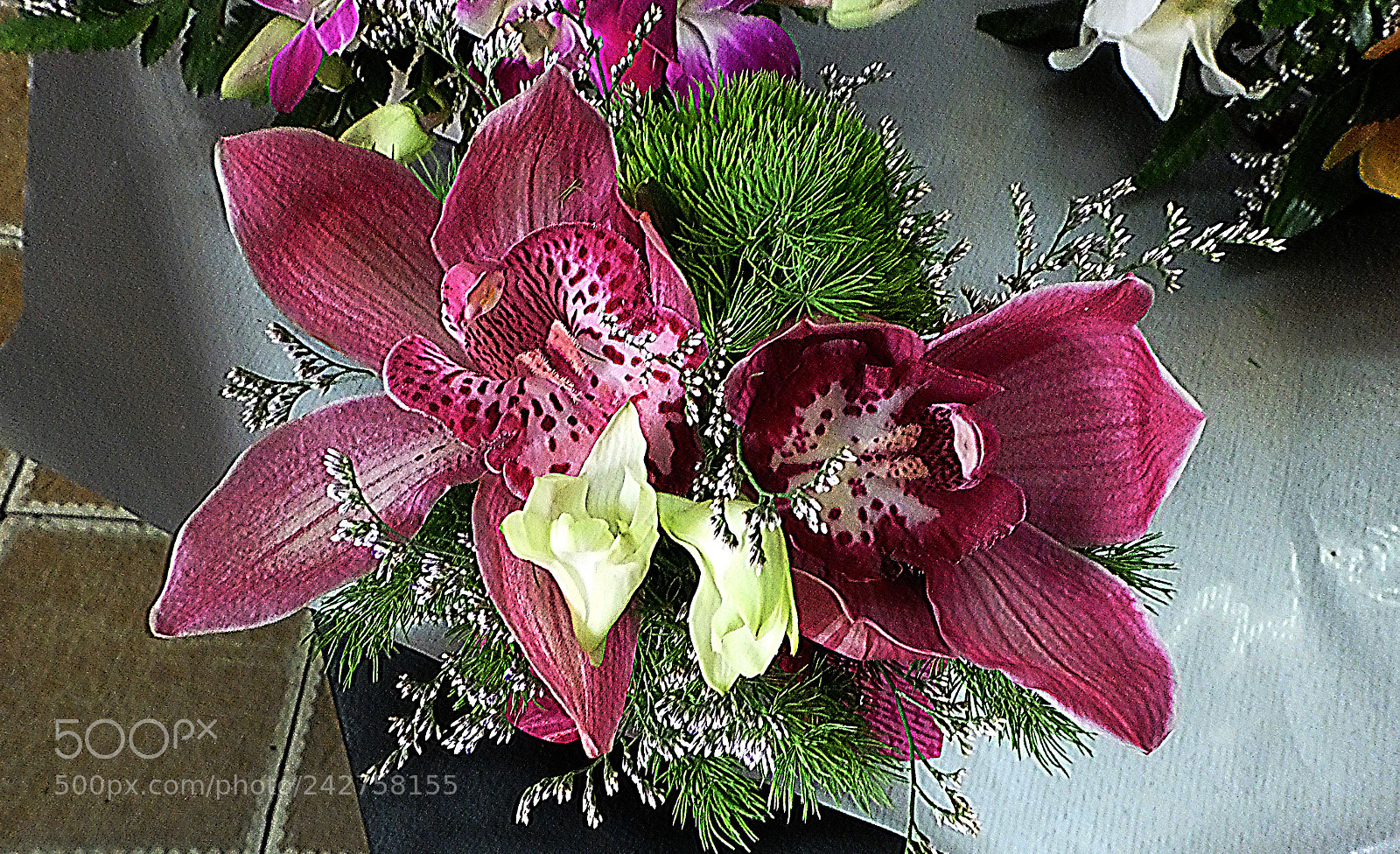 Fujifilm X20 sample photo. Copia photography