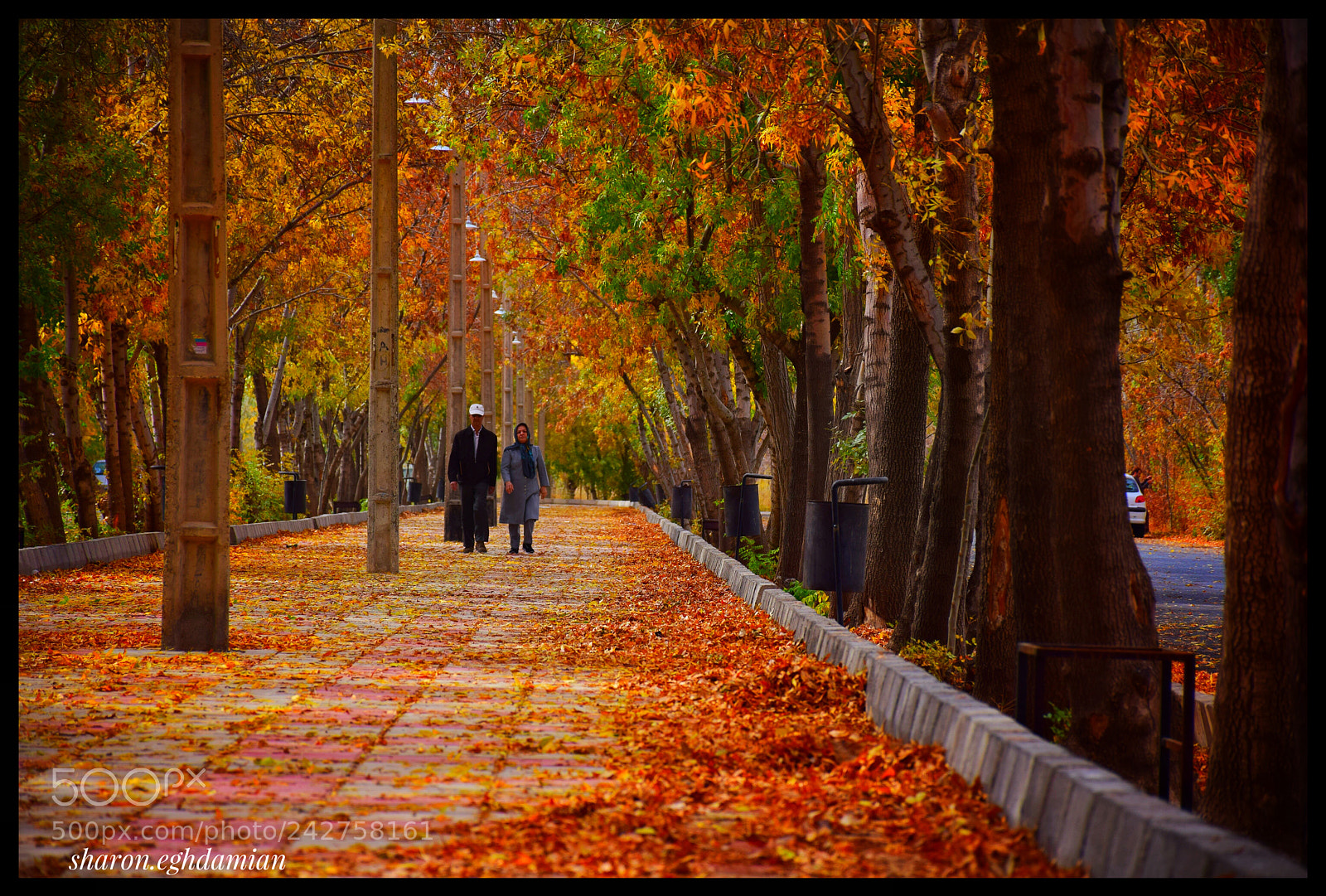 Nikon D5300 sample photo. Colorful autumn photography