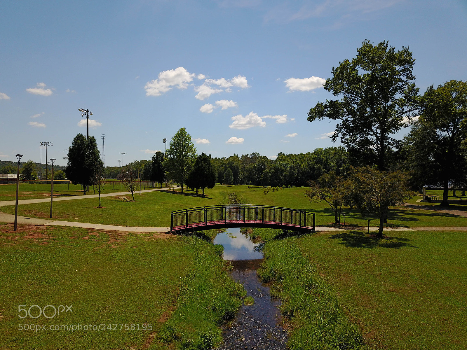 DJI FC220 sample photo. Foot bridge photography