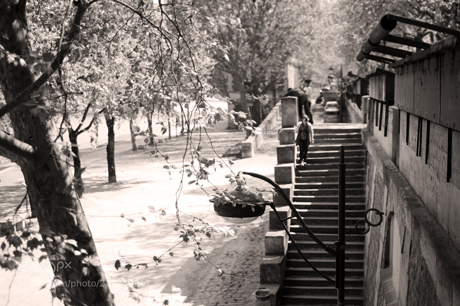 Fujifilm X-Pro1 sample photo. Paris and the seine photography