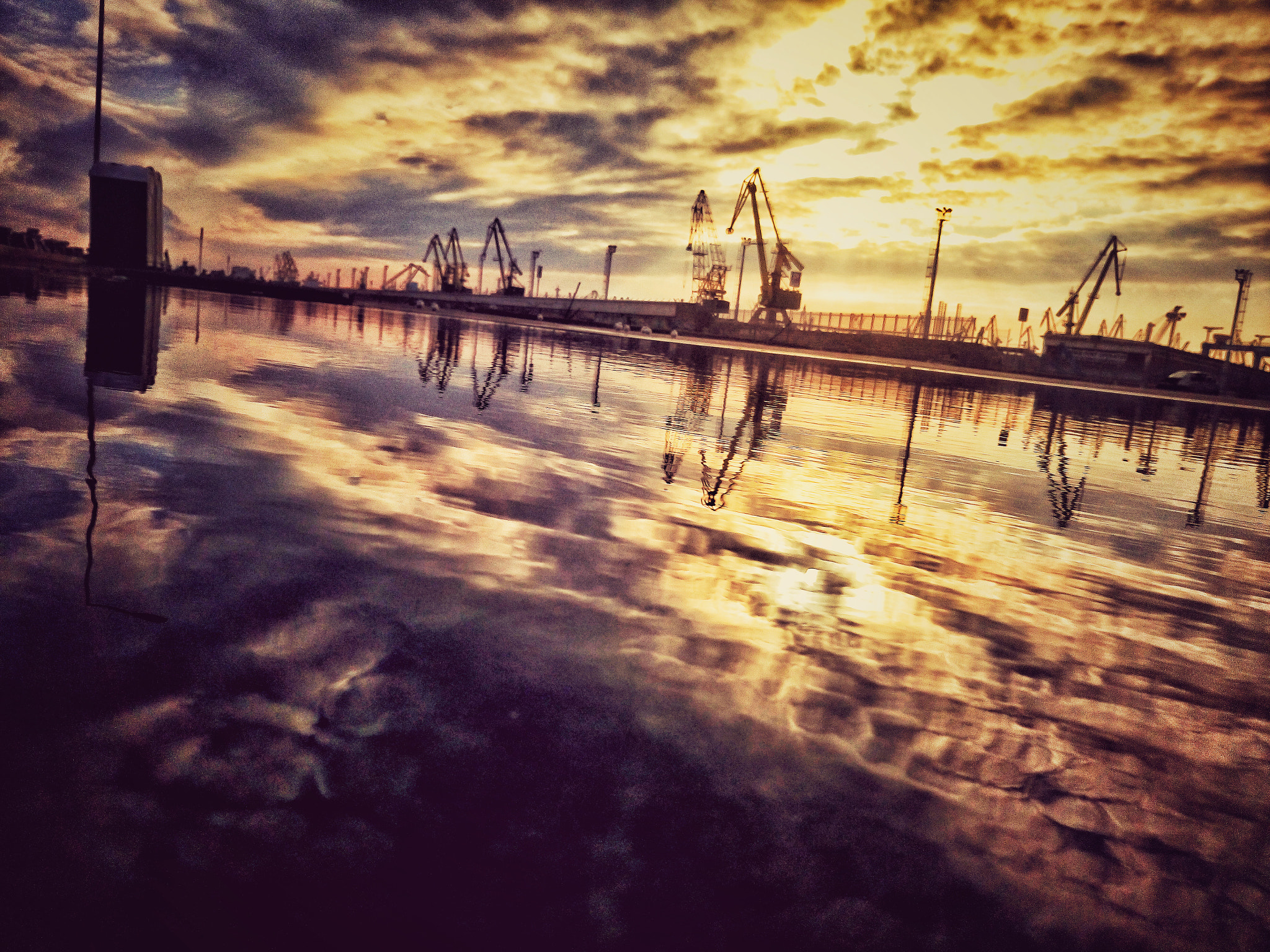 Sony Xperia M5 Dual sample photo. Les giraffes photography