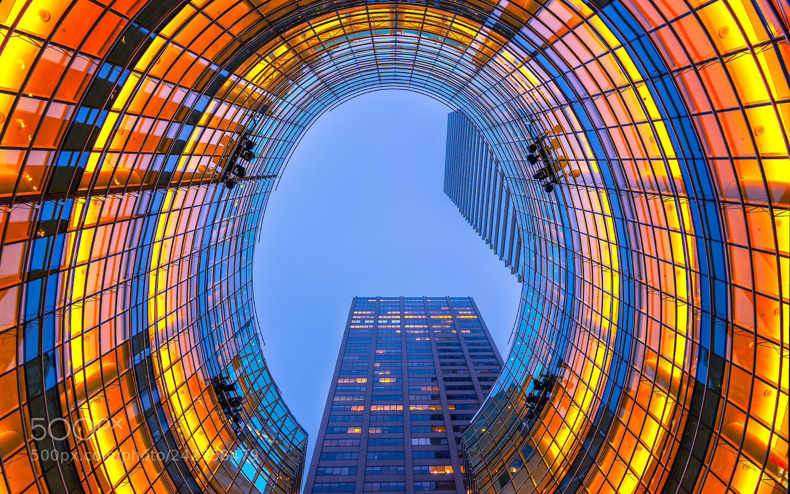 Nikon D7100 sample photo. Looking up photography