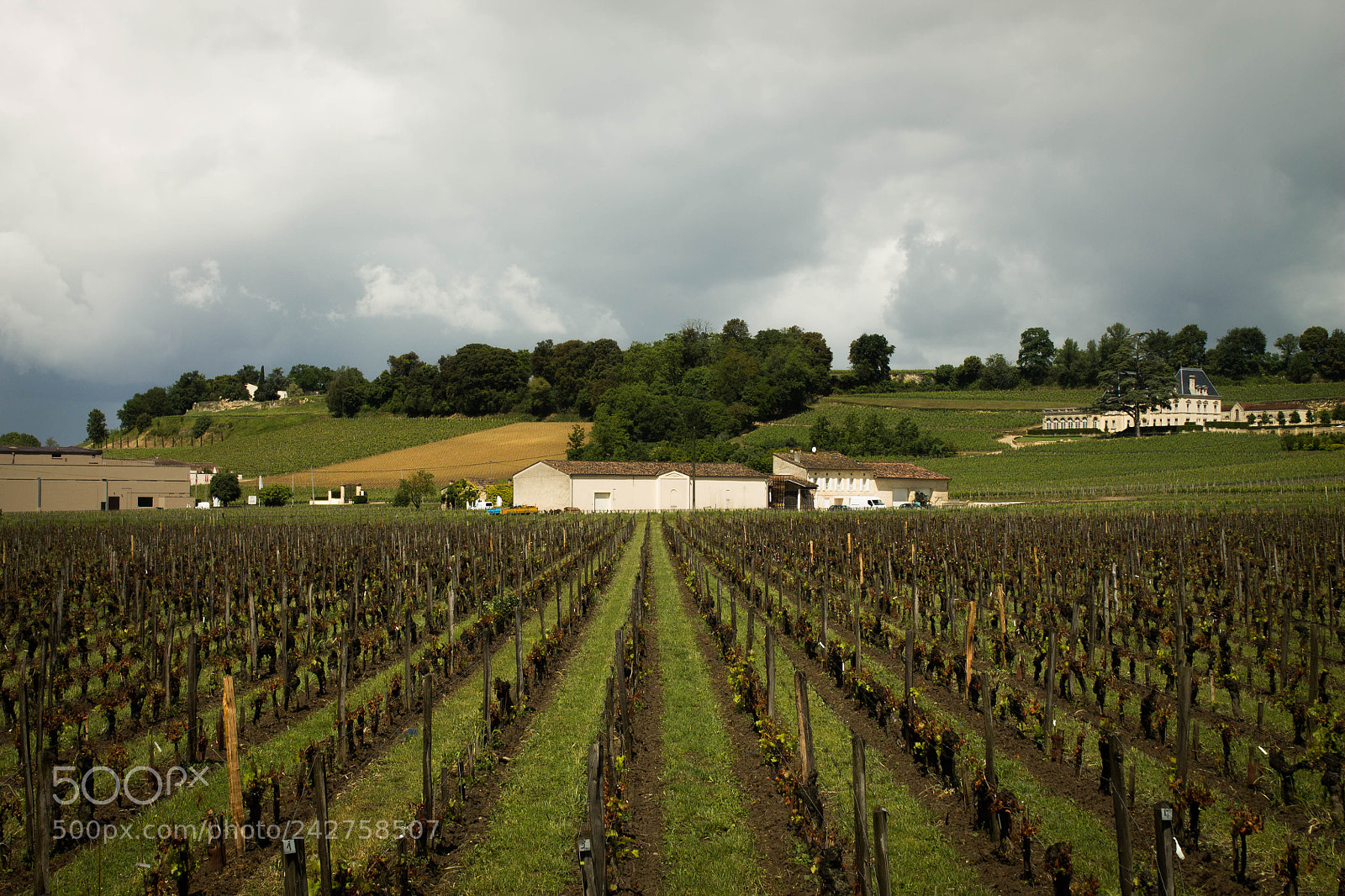 Canon EOS 1100D (EOS Rebel T3 / EOS Kiss X50) sample photo. Vignoble en dordogne, france photography