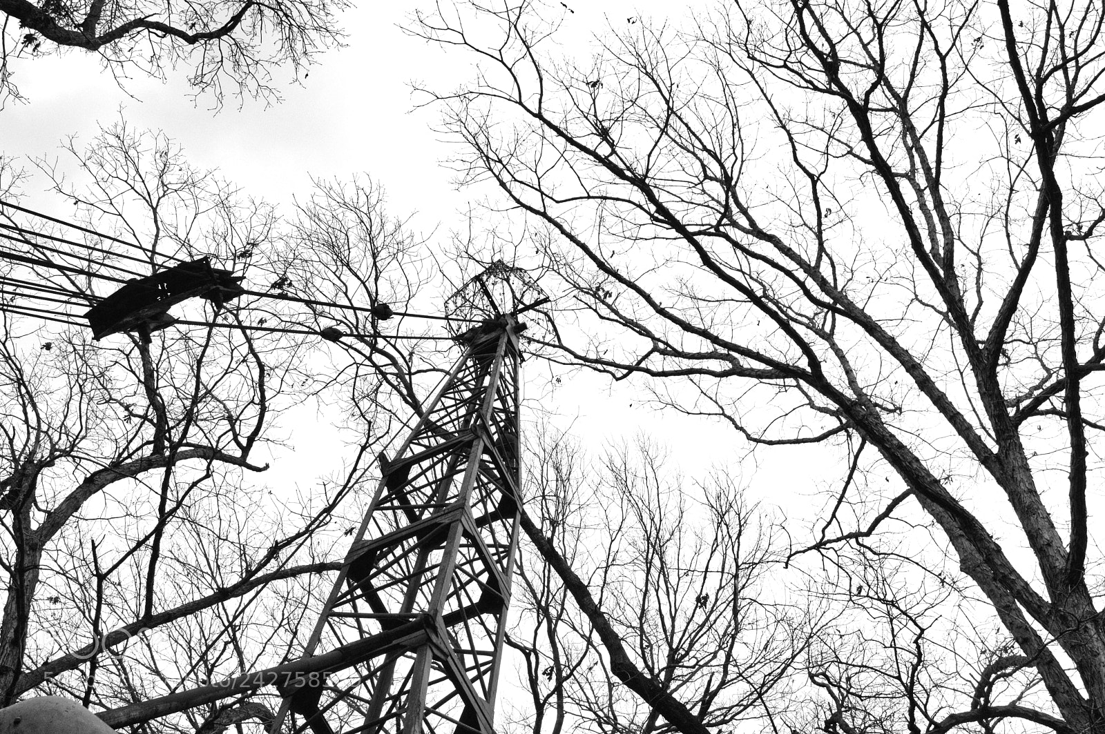 Nikon D3200 sample photo. Sky crane photography