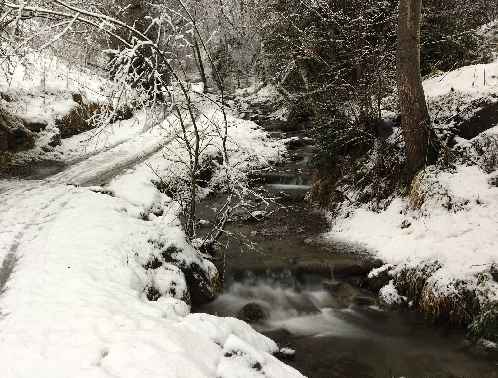 Apple iPhone 6s sample photo. Let it snow photography