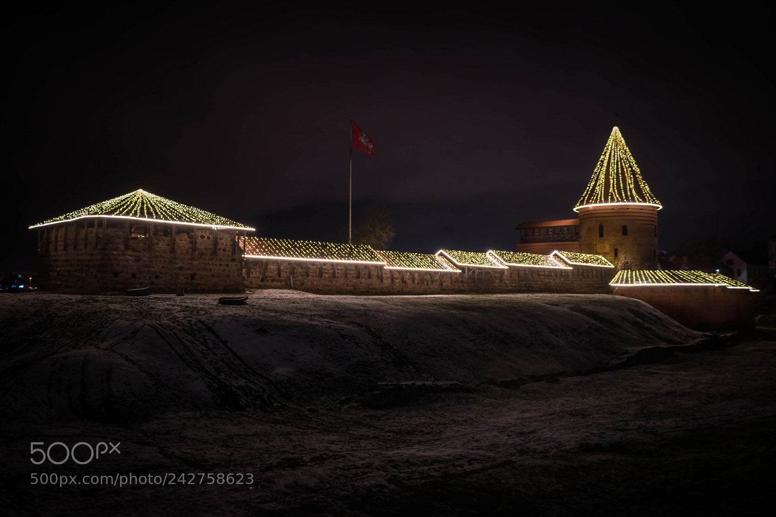 Nikon D5600 sample photo. Xmas castle photography