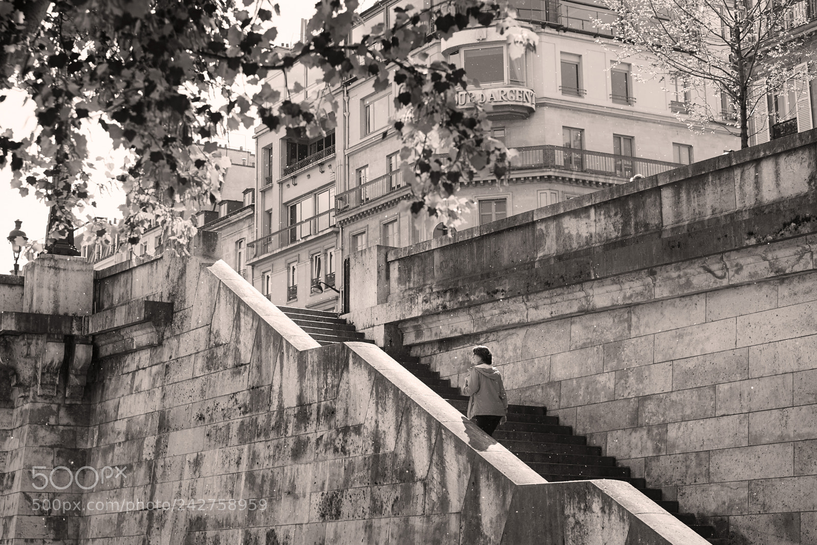 Fujifilm X-Pro1 sample photo. Seine promenade stairs paris photography