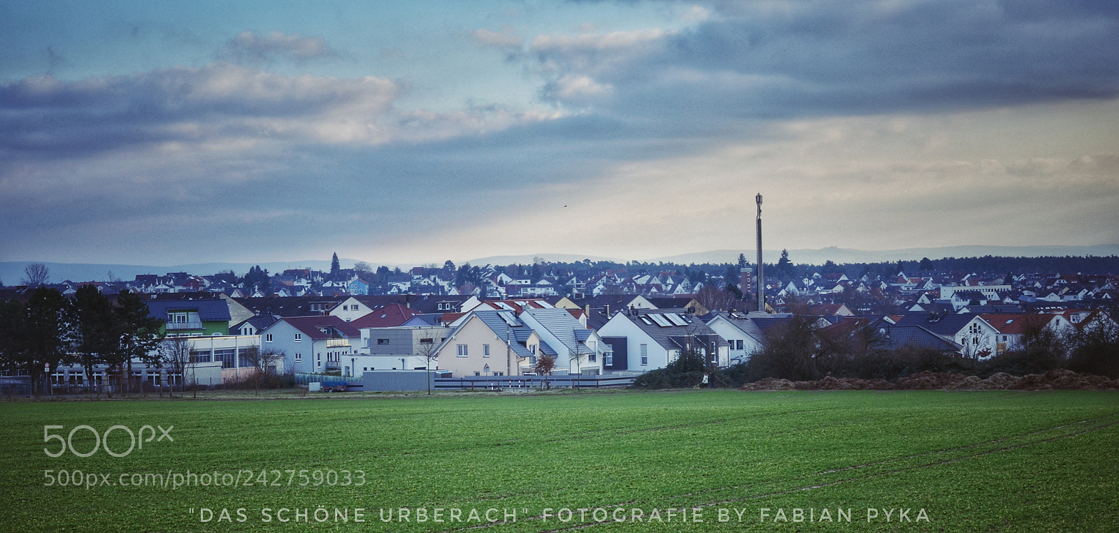 Nikon D5100 sample photo. Untitled photography