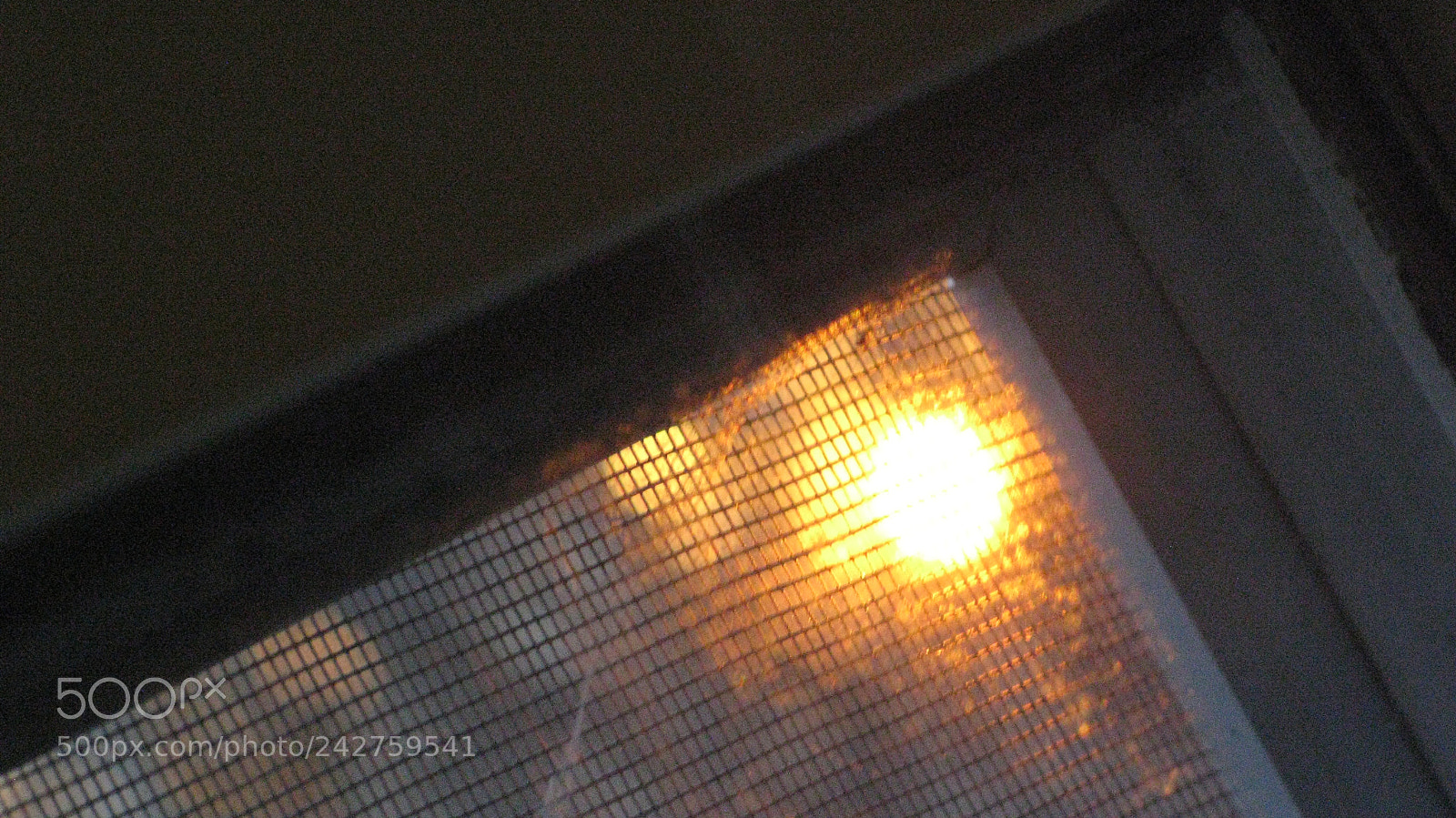 Canon POWERSHOT G9 sample photo. Ever glow photography
