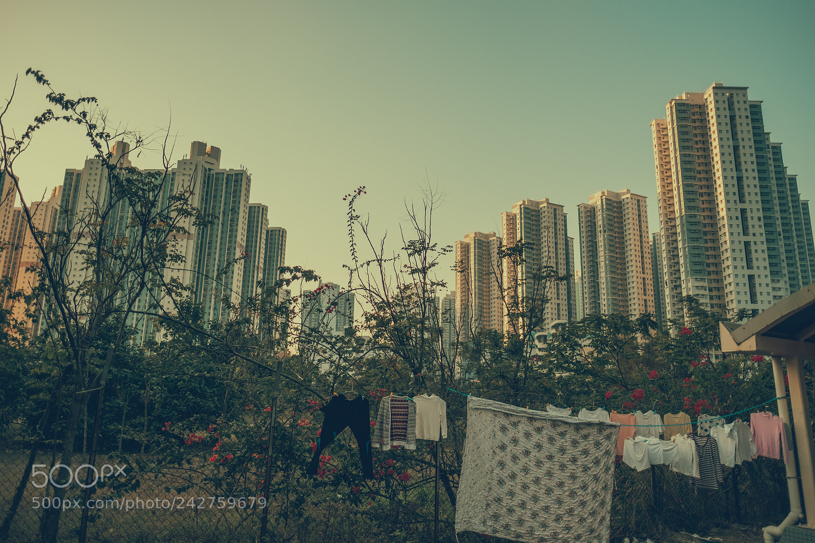 Fujifilm X-T2 sample photo. No room for drying photography