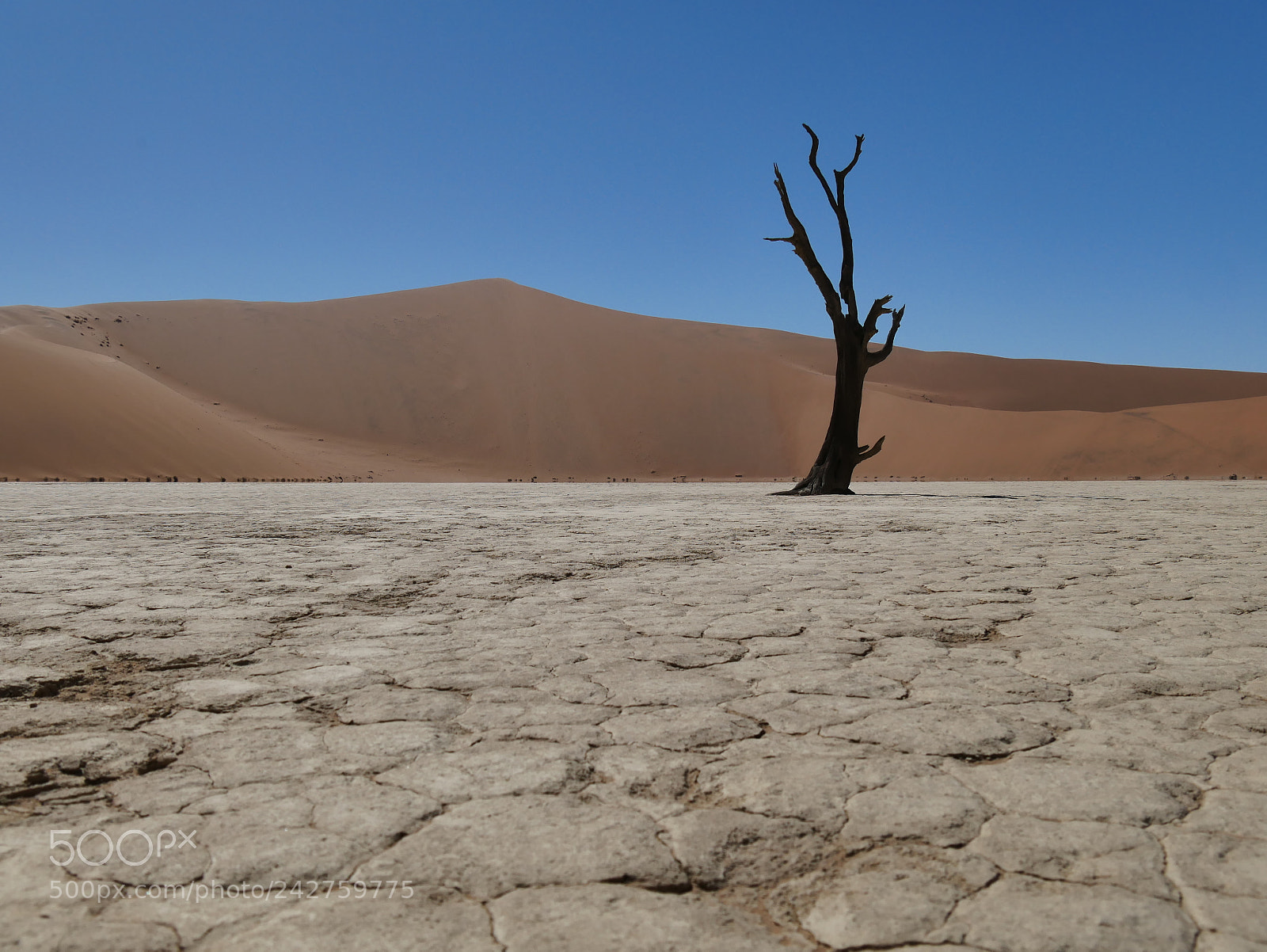 Panasonic Lumix DMC-GX85 (Lumix DMC-GX80 / Lumix DMC-GX7 Mark II) sample photo. Namibia photography