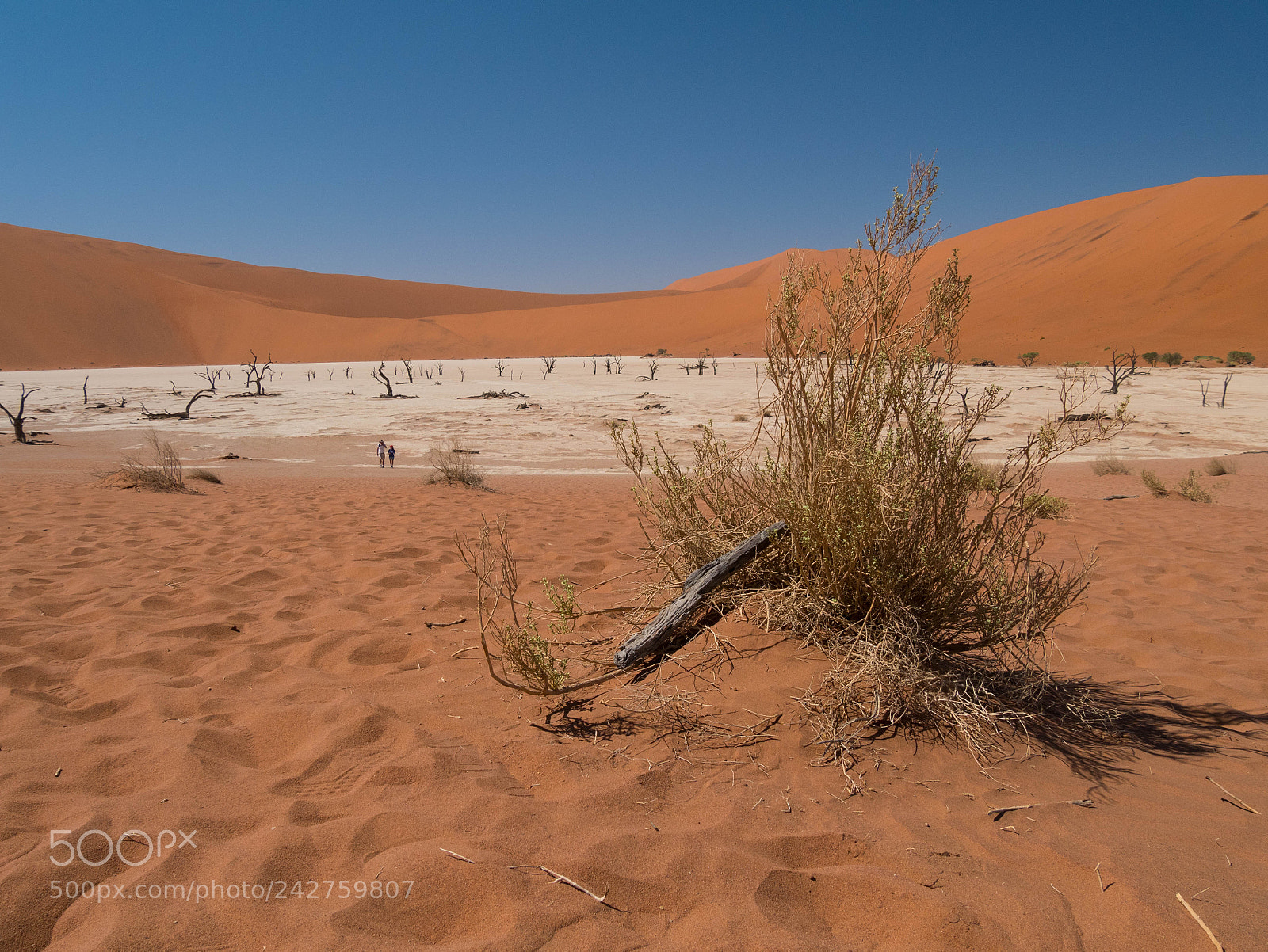 Panasonic Lumix DMC-GX85 (Lumix DMC-GX80 / Lumix DMC-GX7 Mark II) sample photo. Namibia photography