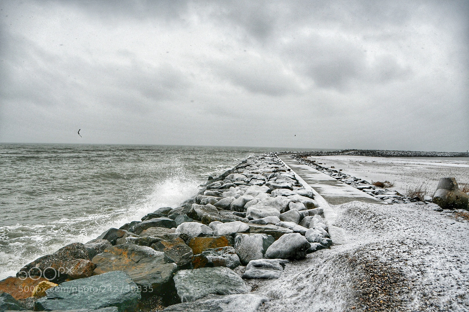 Nikon D500 sample photo. Untitled photography
