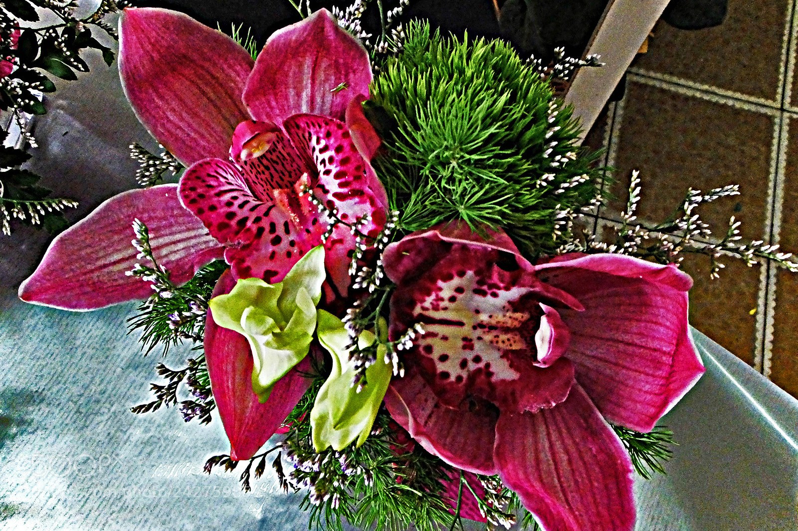 Fujifilm X20 sample photo. Copia photography