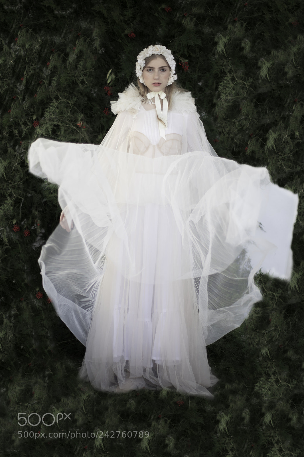 Canon EOS-1D X Mark II sample photo. Whiteprincess photography
