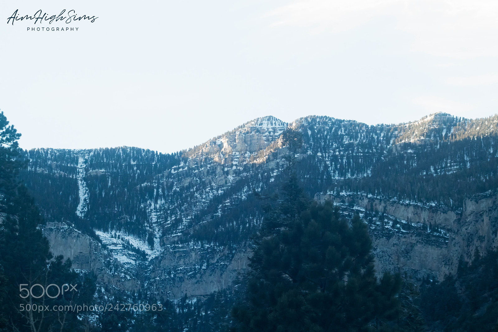 Sony a6300 sample photo. Winter @ mt. charleston photography