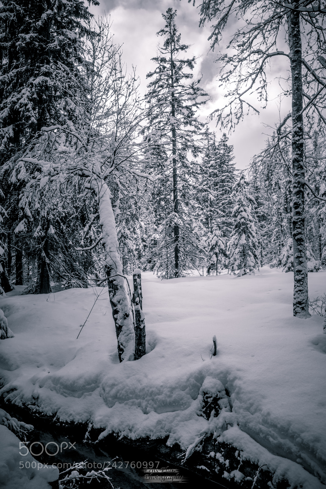 Nikon D7200 sample photo. Shades of grey photography
