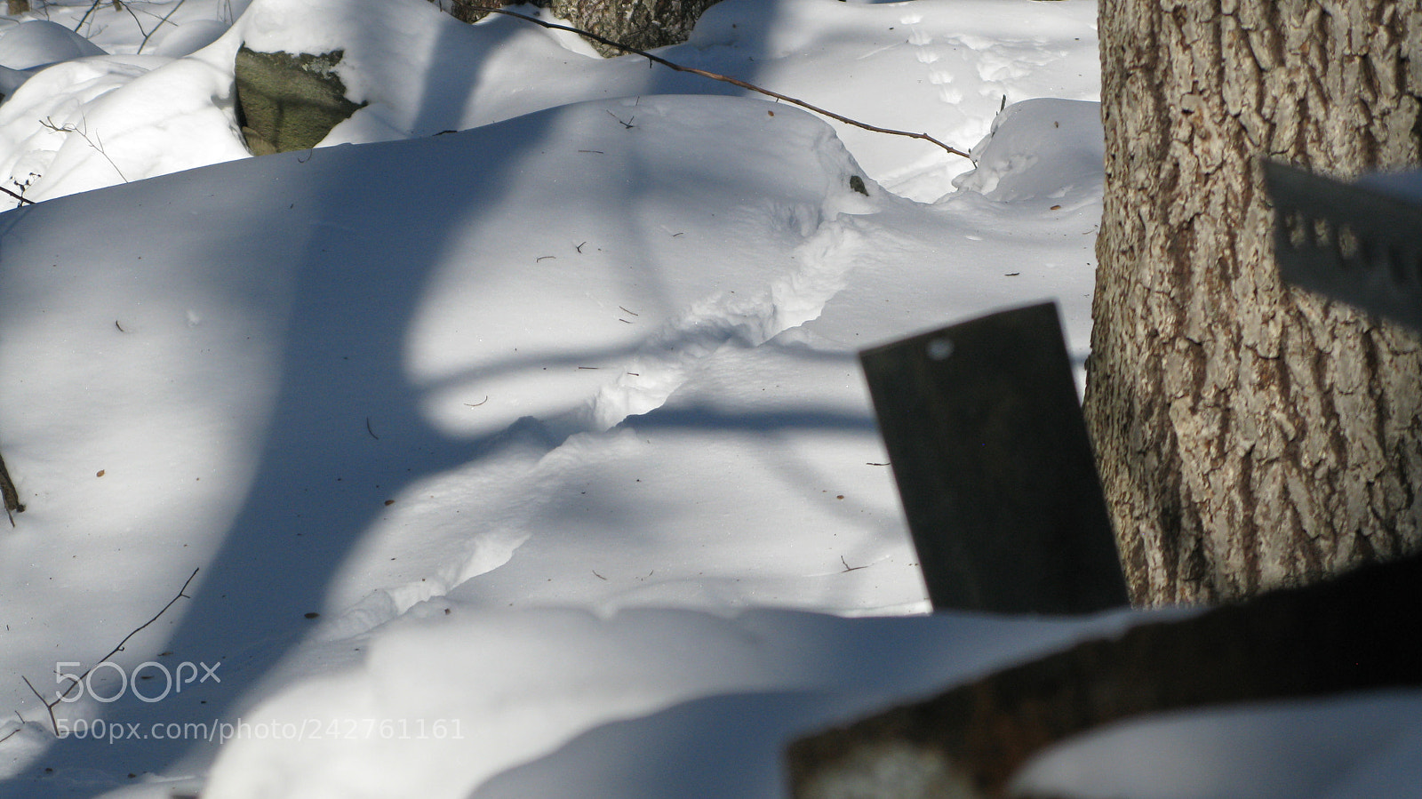 Canon POWERSHOT G9 sample photo. Lost purpose, found art. photography